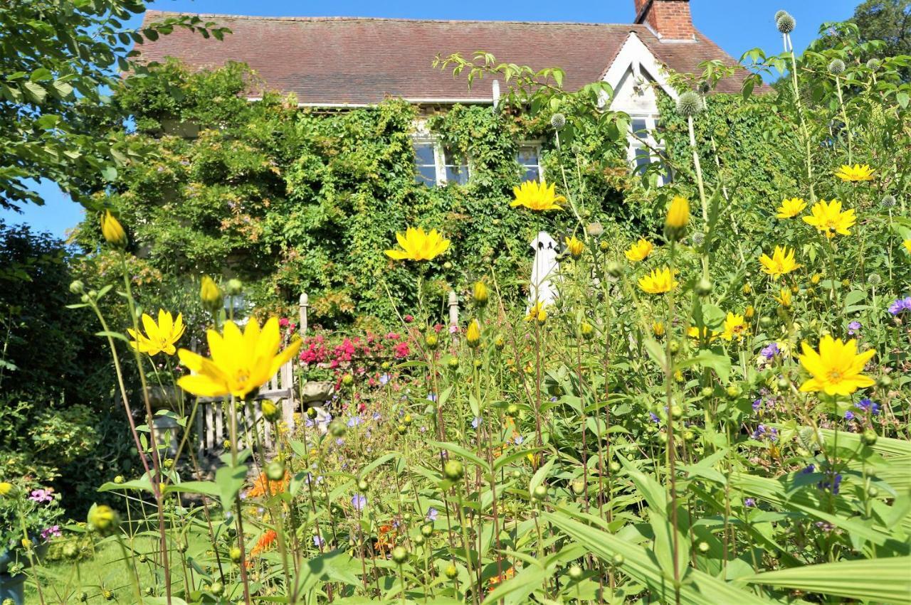 Milebrook House Bed and Breakfast Knighton  Exterior foto